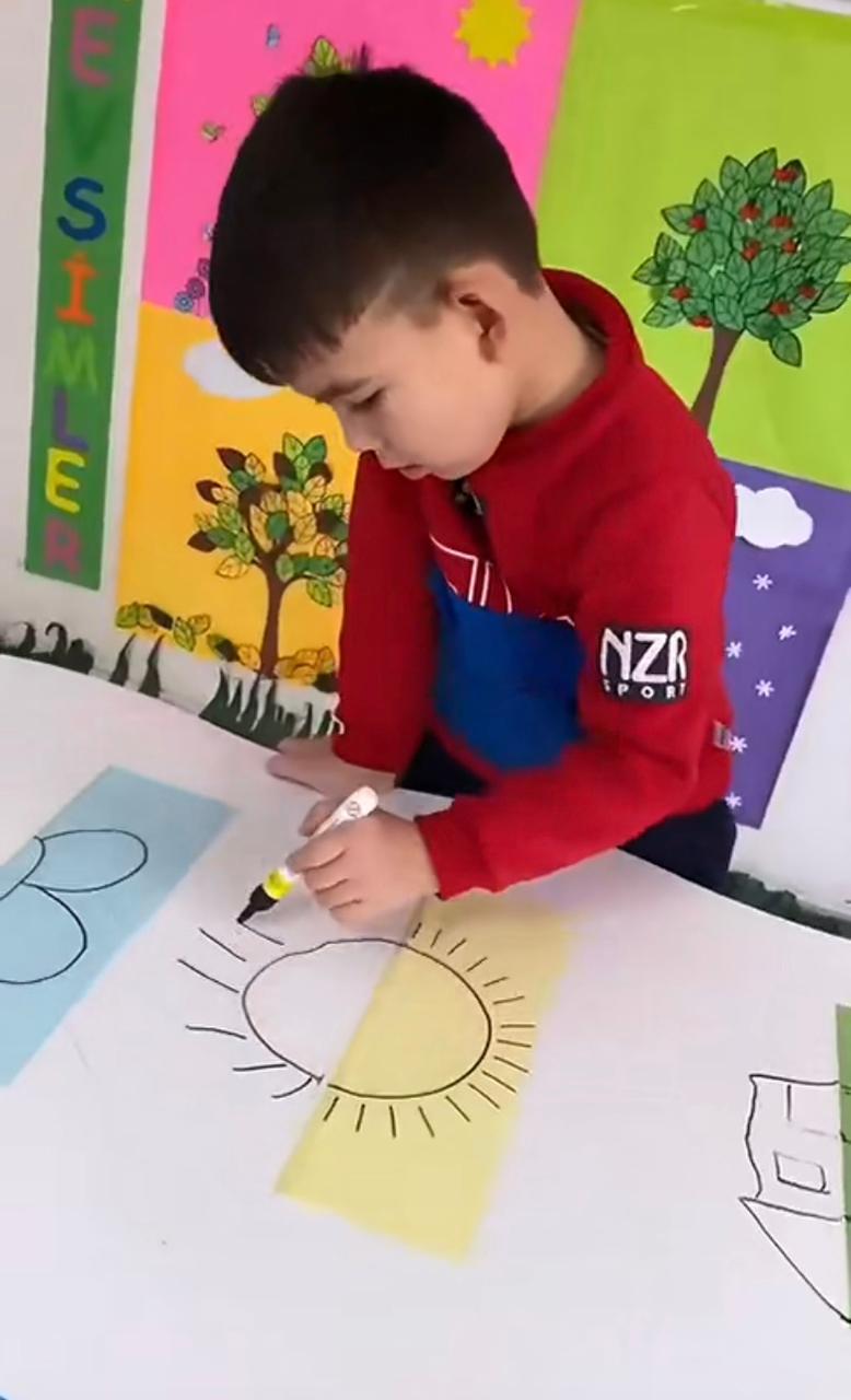 Curriculum Image